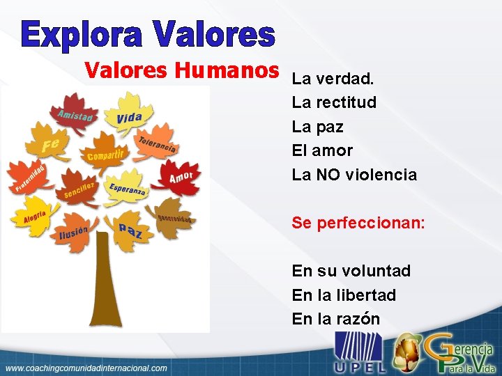 Valores Humanos La verdad. La rectitud La paz El amor La NO violencia Se