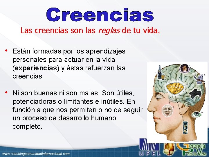 Las creencias son las reglas de tu vida. • Están formadas por los aprendizajes