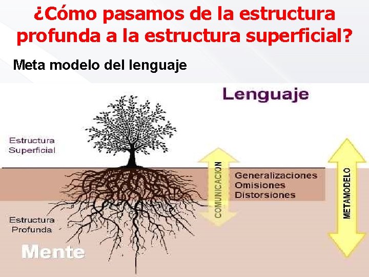 ¿Cómo pasamos de la estructura profunda a la estructura superficial? Meta modelo del lenguaje