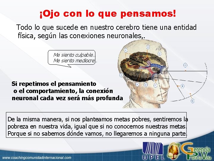 ¡Ojo con lo que pensamos! Todo lo que sucede en nuestro cerebro tiene una