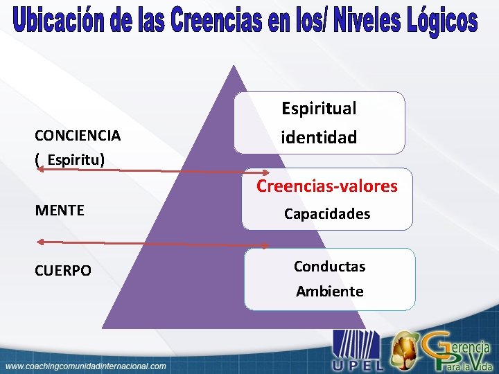 Espiritual CONCIENCIA ( Espiritu) identidad Creencias-valores MENTE Capacidades CUERPO Conductas Ambiente 