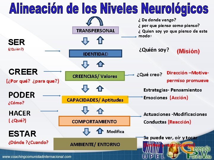 TRANSPERSONAL SER (¿Quién? ) CREER (¿Por qué? ¿para que? ) PODER ¿Cómo? IDENTIDAD CREENCIAS/