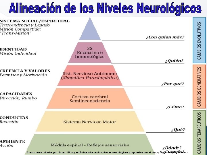 Fueron desarrollados por Robert Dilts y están basados en los niveles neurológicos propuestos por