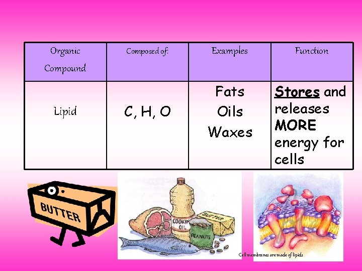 Organic Compound Lipid Composed of: Examples Function C, H, O Fats Oils Waxes Stores