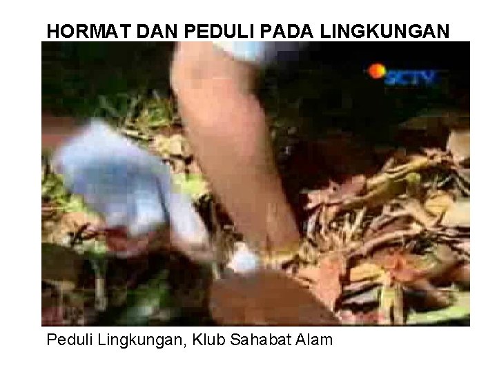 HORMAT DAN PEDULI PADA LINGKUNGAN Peduli Lingkungan, Klub Sahabat Alam 