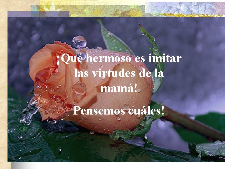 ¡Qué hermoso es imitar las virtudes de la mamá! Pensemos cuáles! 