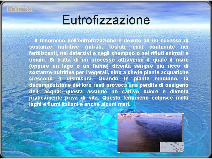 INDIETRO Eutrofizzazione Il fenomeno dell’eutrofizzazione è dovuto ad un eccesso di sostanze nutritive (nitrati,