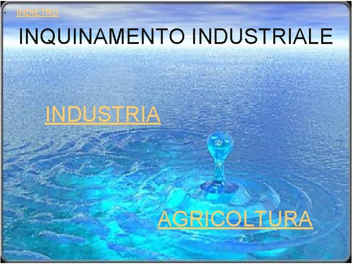  • INDIETRO INQUINAMENTO INDUSTRIALE INDUSTRIA AGRICOLTURA 
