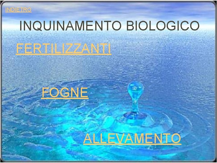 INDIETRO INQUINAMENTO BIOLOGICO FERTILIZZANTI FOGNE ALLEVAMENTO 