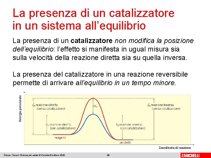 La presenza di un catalizzatore in un sistema all’equilibrio La presenza di un catalizzatore