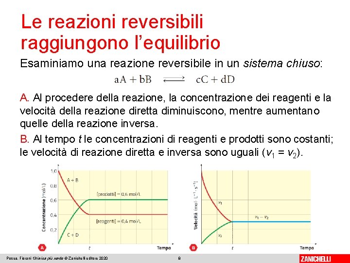 Le reazioni reversibili raggiungono l’equilibrio Esaminiamo una reazione reversibile in un sistema chiuso: A.