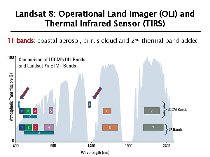 Landsat 8: Operational Land Imager (OLI) and Thermal Infrared Sensor (TIRS) 11 bands: coastal