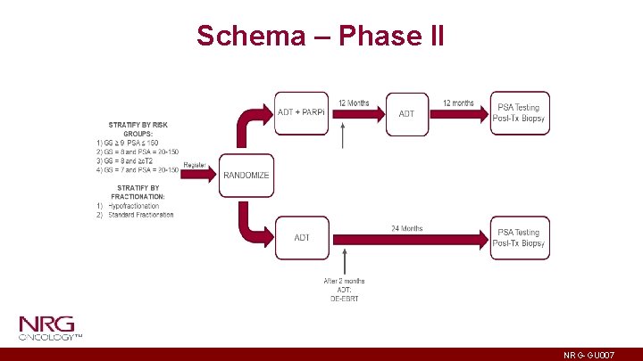 Schema – Phase II NRG-GU 007 