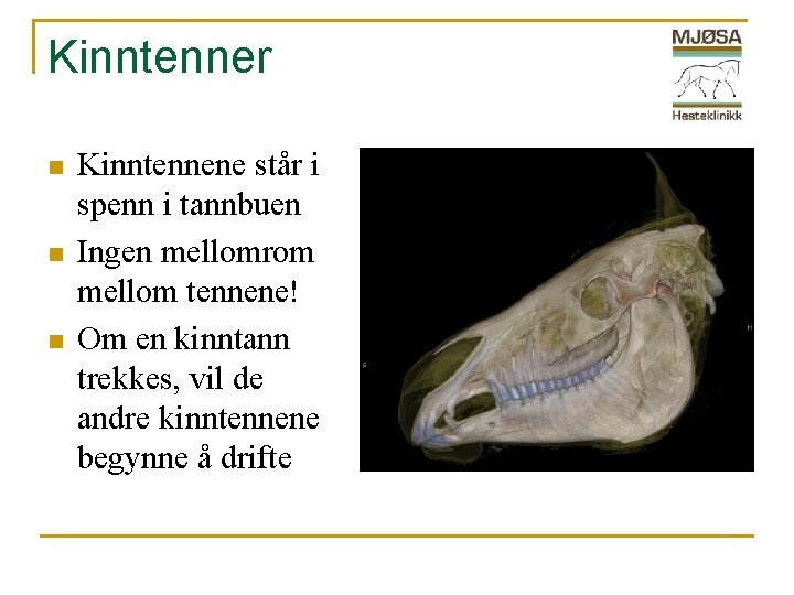 Kinntenner n n n Kinntennene står i spenn i tannbuen Ingen mellomrom mellom tennene!