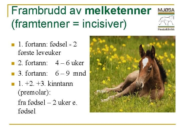 Frambrudd av melketenner (framtenner = incisiver) n n 1. fortann: fødsel - 2 første