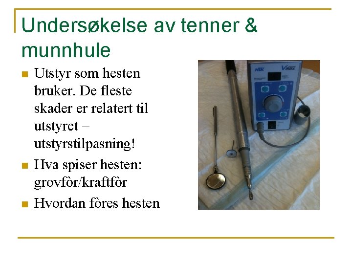 Undersøkelse av tenner & munnhule n n n Utstyr som hesten bruker. De fleste