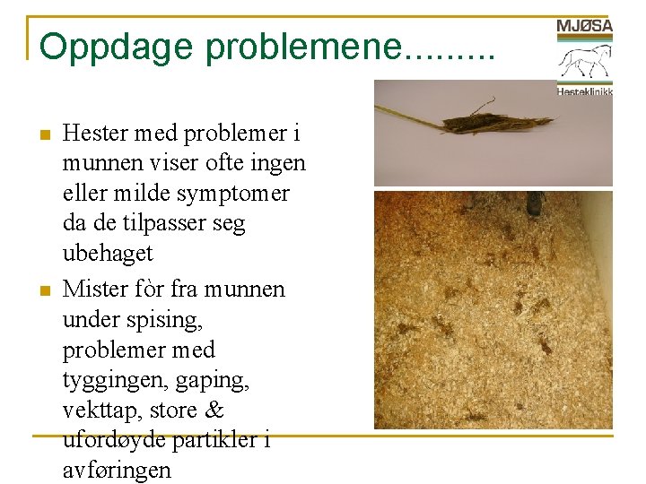 Oppdage problemene. . n n Hester med problemer i munnen viser ofte ingen eller