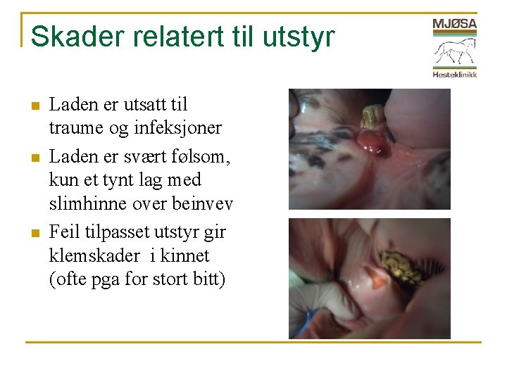 Skader relatert til utstyr n n n Laden er utsatt til traume og infeksjoner