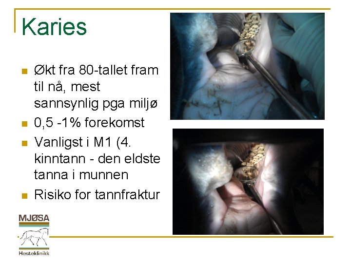 Karies n n Økt fra 80 -tallet fram til nå, mest sannsynlig pga miljø