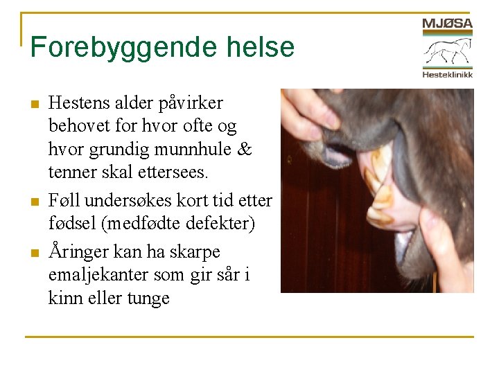 Forebyggende helse n n n Hestens alder påvirker behovet for hvor ofte og hvor