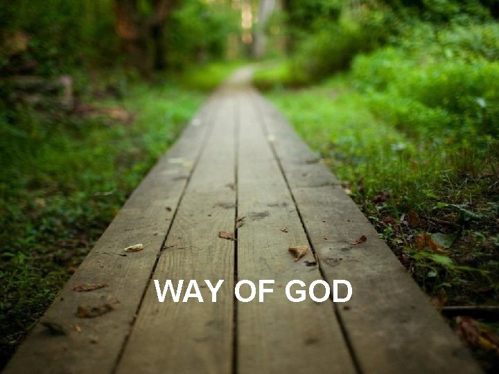 WAY OF GOD 