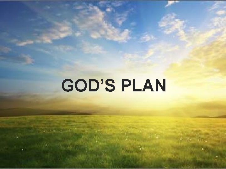 GOD’S PLAN 