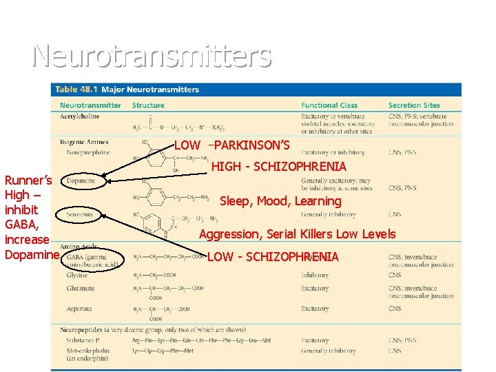 Neurotransmitters LOW –PARKINSON’S Runner’s High – inhibit GABA, increase Dopamine HIGH - SCHIZOPHRENIA Sleep,