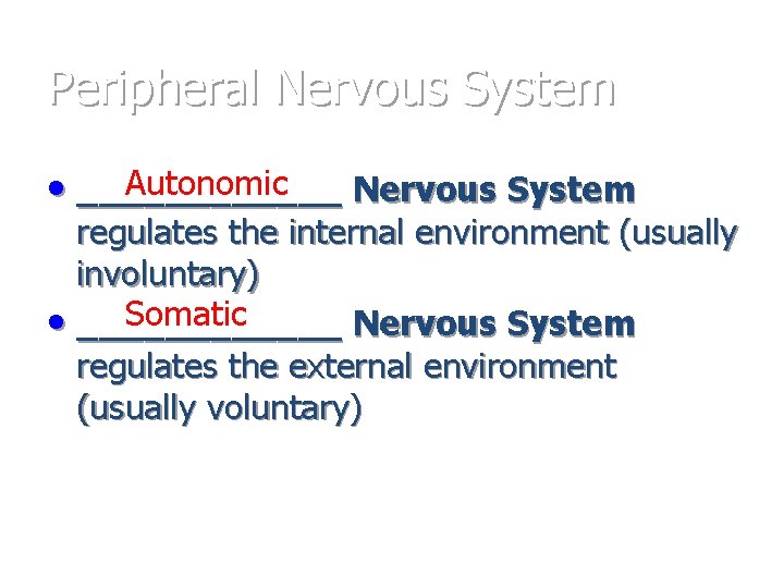 Peripheral Nervous System Autonomic • ______ Nervous System regulates the internal environment (usually involuntary)