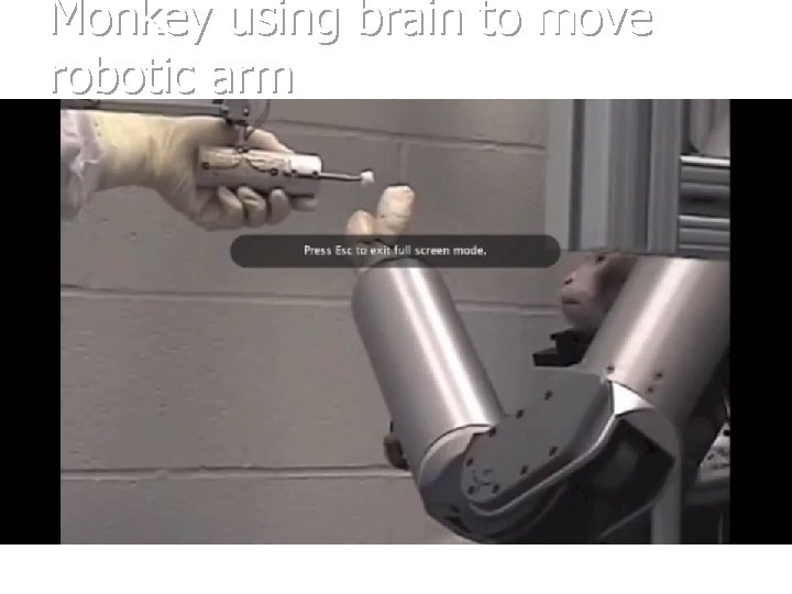 Monkey using brain to move robotic arm 