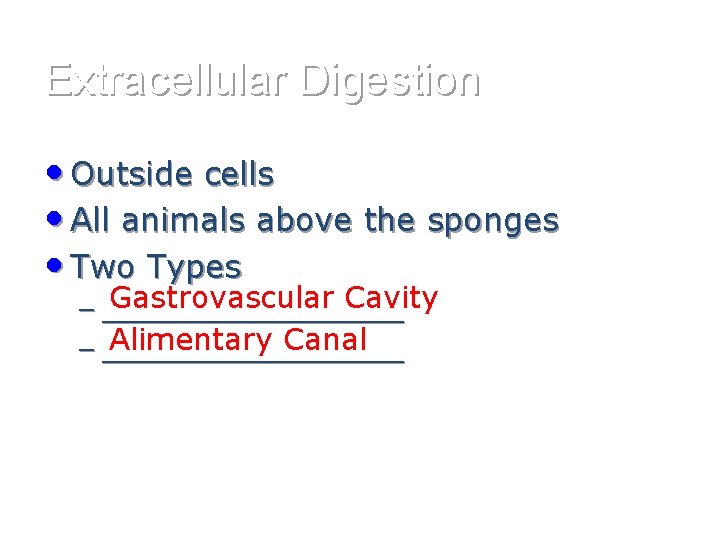 Extracellular Digestion • Outside cells • All animals above the sponges • Two Types