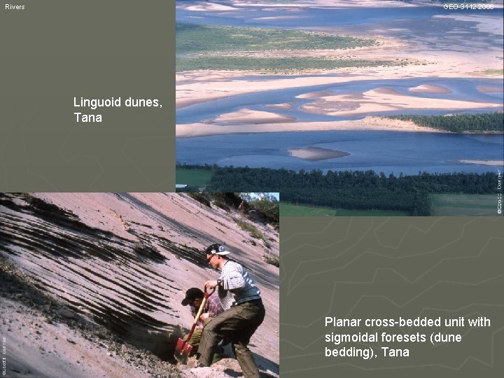 Rivers GEO-3112 2006 Linguoid dunes, Tana Planar cross-bedded unit with sigmoidal foresets (dune bedding),