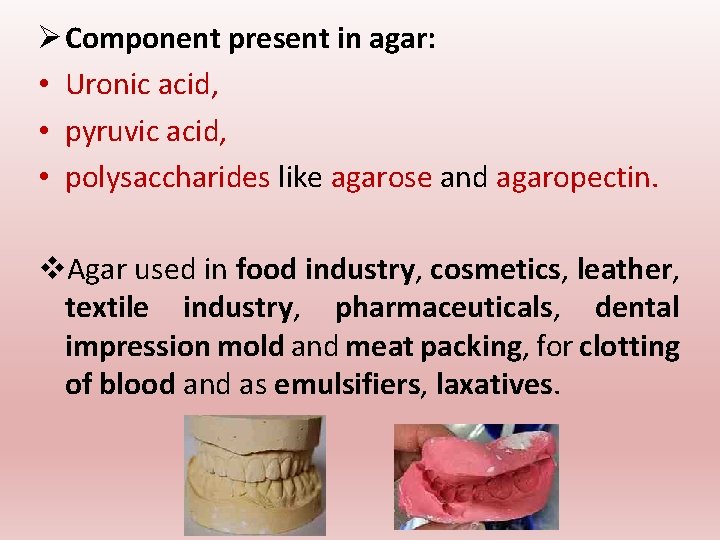 Ø Component present in agar: • Uronic acid, • pyruvic acid, • polysaccharides like