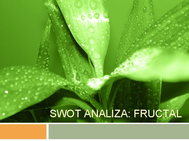 SWOT ANALIZA: FRUCTAL 