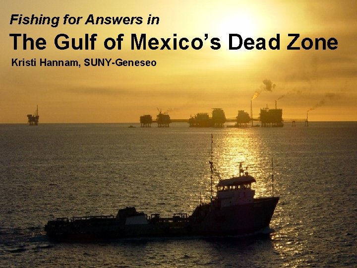 Fishing for Answers in The Gulf of Mexico’s Dead Zone Kristi Hannam, SUNY-Geneseo 