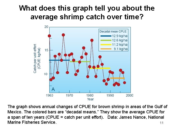 What does this graph tell you about the average shrimp catch over time? The