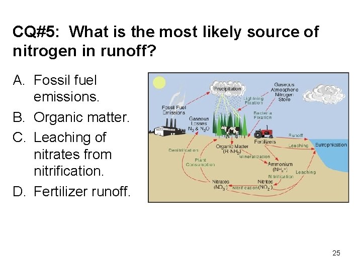 CQ#5: What is the most likely source of nitrogen in runoff? A. Fossil fuel