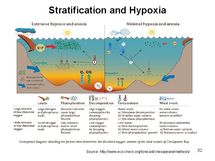 Stratification and Hypoxia Source: http: //www. eco-check. org/forecast/chesapeake/methods/ 32 