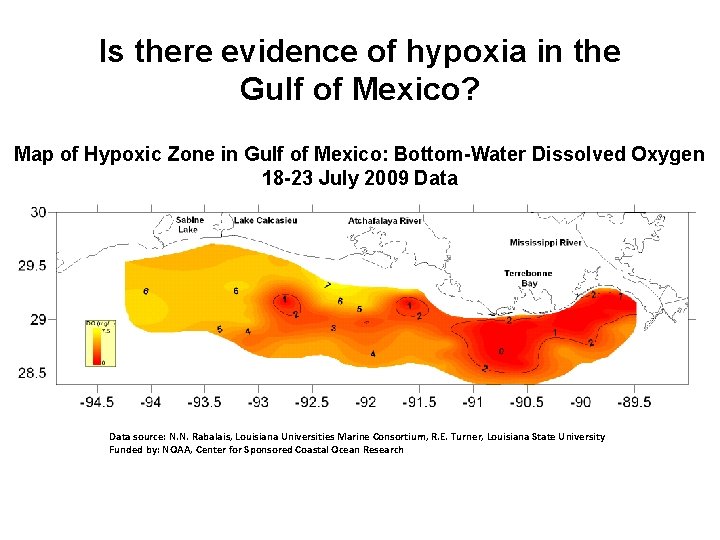 Is there evidence of hypoxia in the Gulf of Mexico? Map of Hypoxic Zone