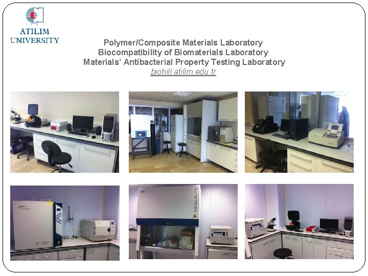 Director of PolymerComposite Materials Laboratory Biocompatibility of ...