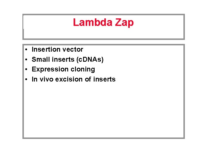 Lambda Zap • • Insertion vector Small inserts (c. DNAs) Expression cloning In vivo