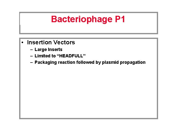 Bacteriophage P 1 • Insertion Vectors – Large Inserts – Limited to “HEADFULL” –