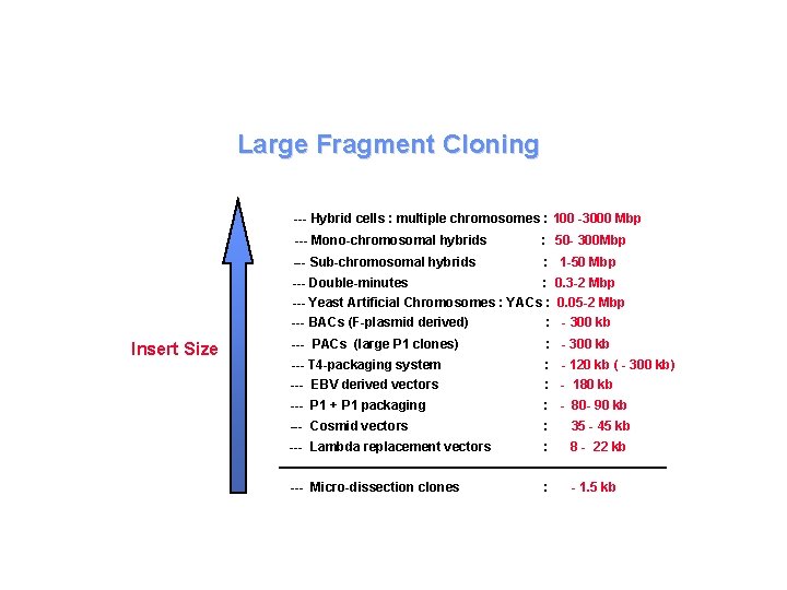 Large Fragment Cloning --- Hybrid cells : multiple chromosomes : 100 -3000 Mbp ---