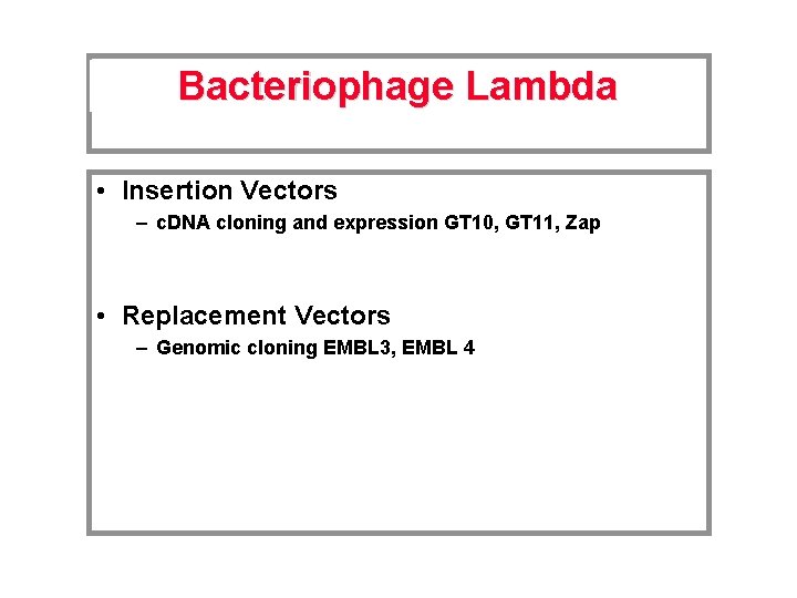 Bacteriophage Lambda • Insertion Vectors – c. DNA cloning and expression GT 10, GT