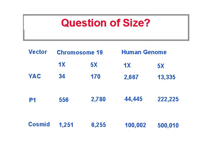 Question of Size? Vector Chromosome 19 Human Genome 1 X 5 X YAC 34