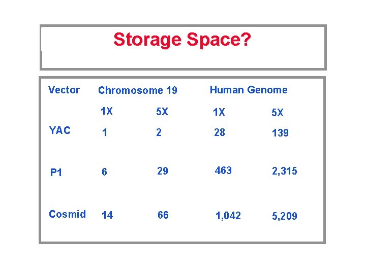 Storage Space? Vector Chromosome 19 Human Genome 1 X 5 X YAC 1 2