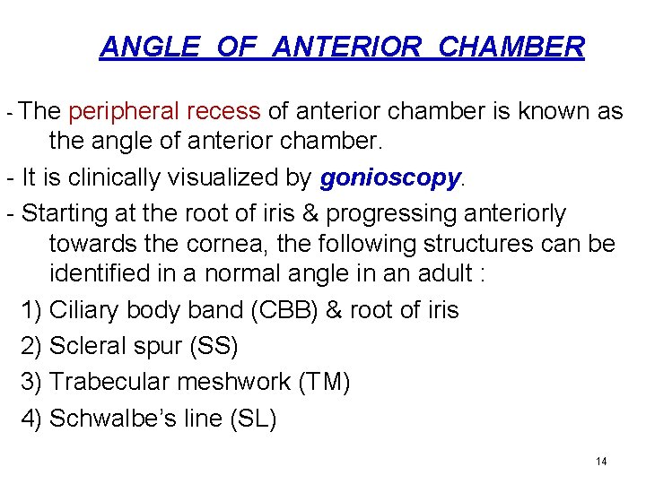 ANGLE OF ANTERIOR CHAMBER - The peripheral recess of anterior chamber is known as