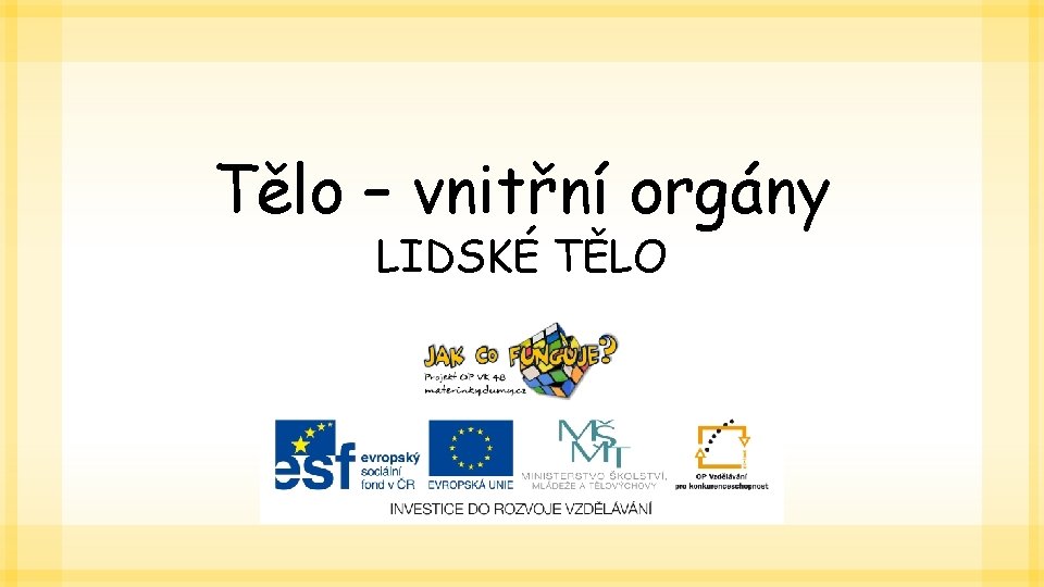 Tělo – vnitřní orgány LIDSKÉ TĚLO 