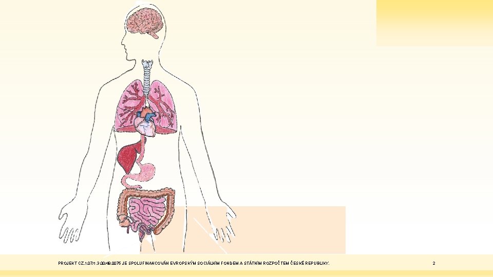 PROJEKT CZ. 1. 07/1. 3. 00/48. 0075 JE SPOLUFINANCOVÁN EVROPSKÝM SOCIÁLNÍM FONDEM A STÁTNÍM PROJEKT CZ. 1. 07/1. 3. 00/48. 0075 JE SPOLUFINANCOVÁN EVROPSKÝM SOCIÁLNÍM FONDEM A STÁTNÍM