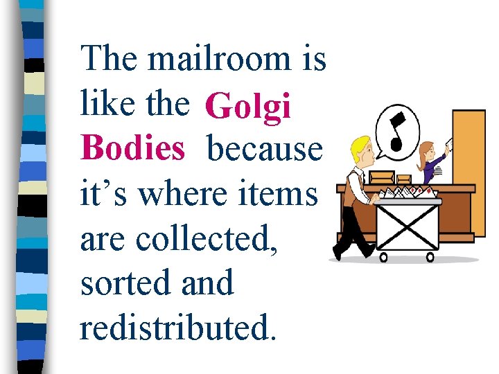 The mailroom is like the golgi Golgi Bodies because it’s where items are collected,