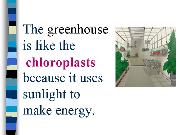 The greenhouse is like the chloroplasts because it uses sunlight to make energy. 